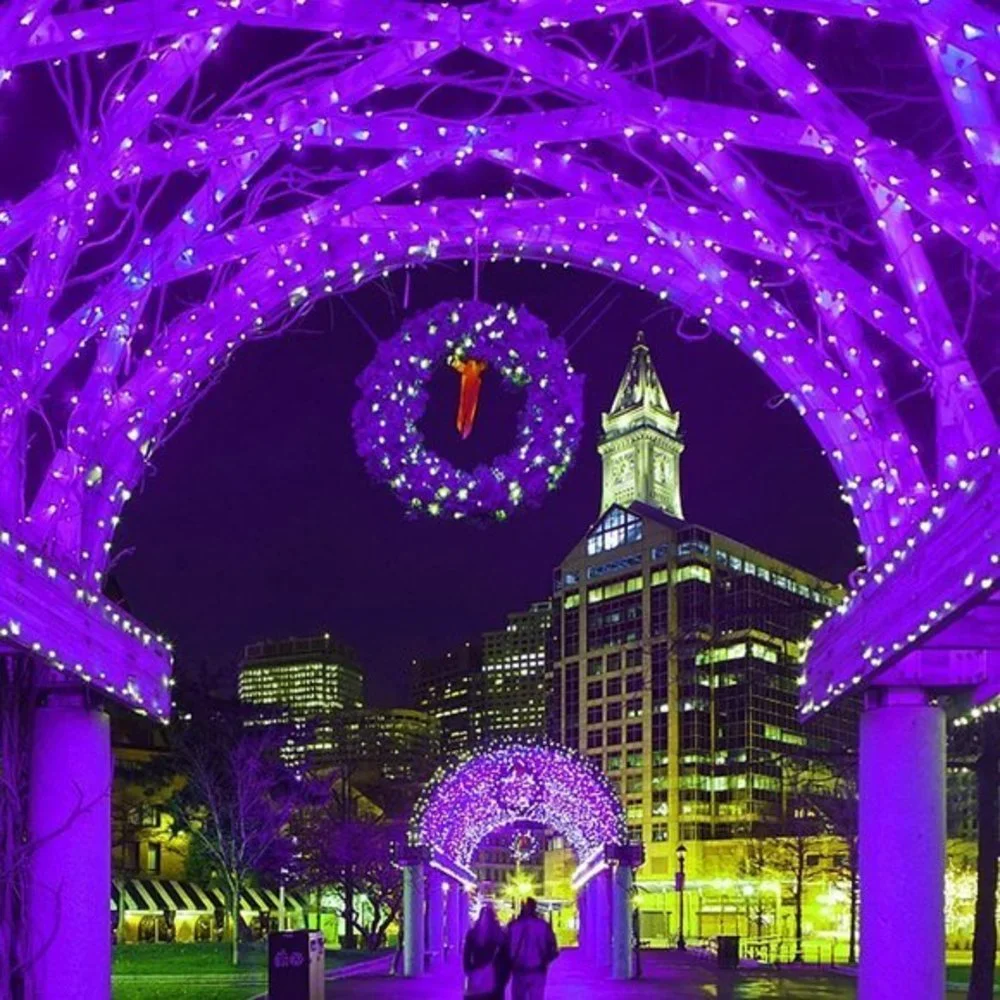 Home 200 LED Green Wire‎ Fairy Starry String Lights Plug in 8 Lighting Modes